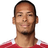 V. van Dijk photo